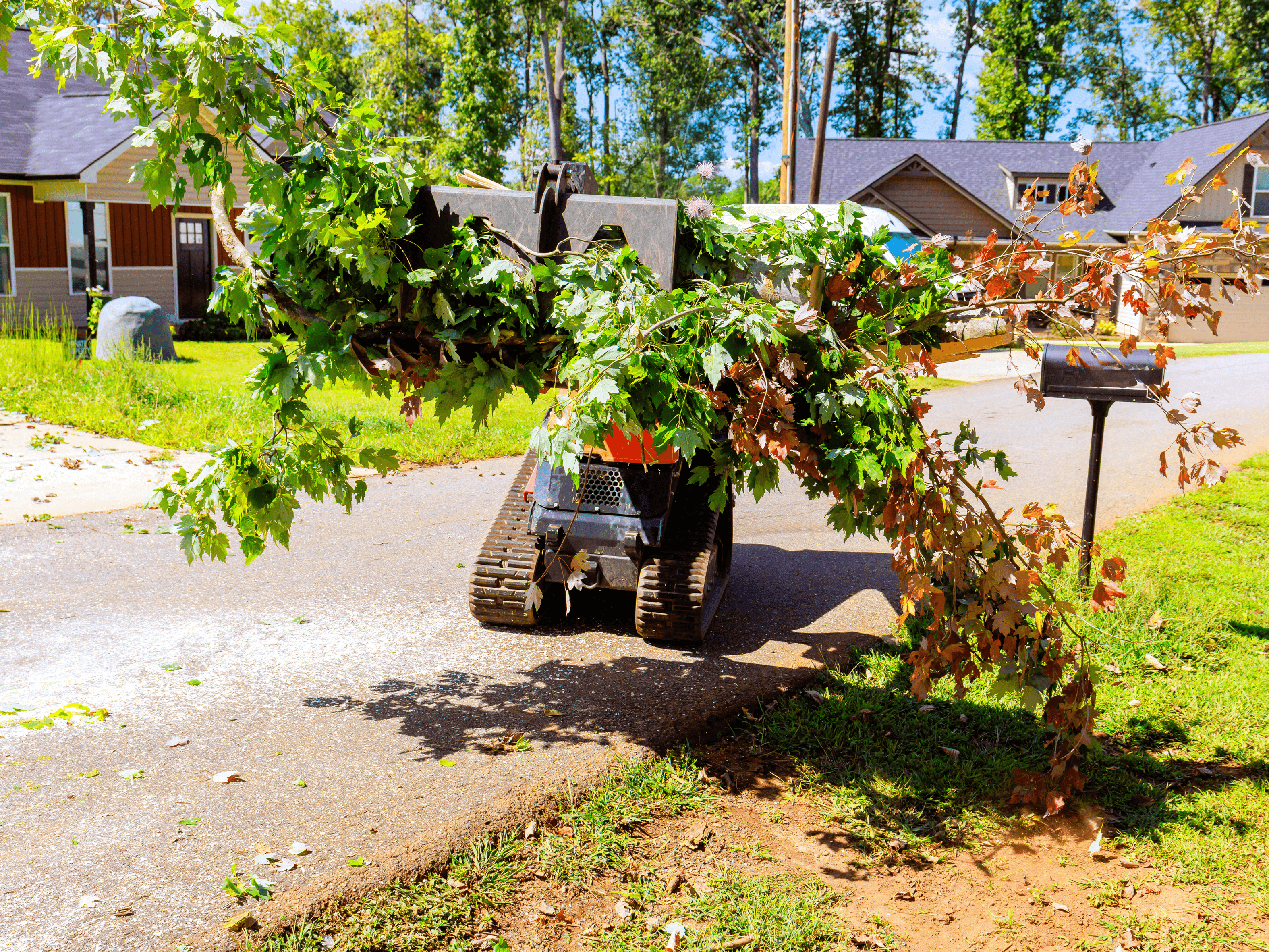 Yard Cleanup
