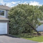 Collegeville PA emergency tree service