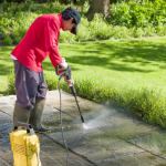 Professional Clean-Up Services