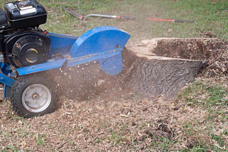 Professional Stump Grinding Services