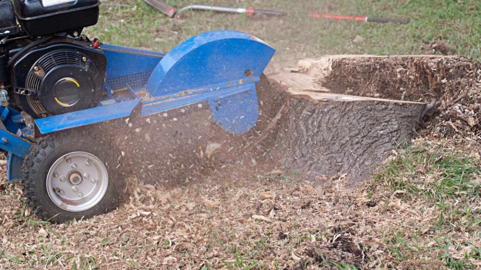 Professional Stump Grinding Services