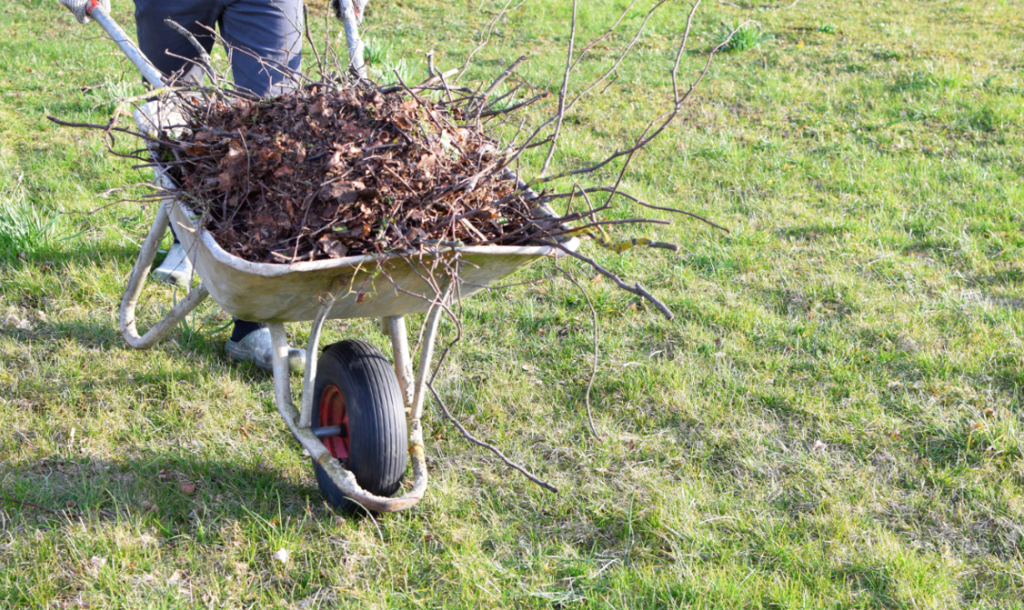 Prepare your yard for the fall with Woodchuck's Arbor Care